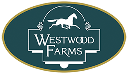 Late Spring Updates – 2021